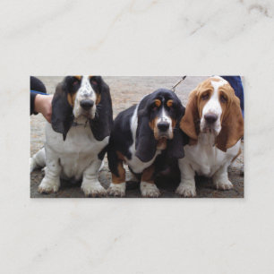 Cartão De Visita 3 filhotes de basset hound
