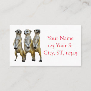 Cartão De Visita 3 Meerkats em pé Thunder_Cove