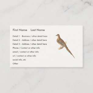 Cartão De Visita A Dove de Luto (Carolina Turtle Dove) NY Aves