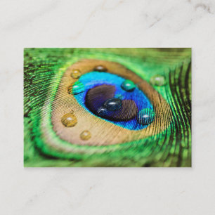 Cartão De Visita A pena macro abstrata do pavão deixa cair o cart