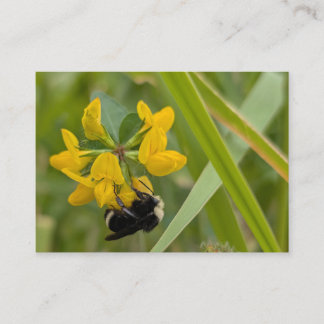 Cartão De Visita Abeja en Flor Silvestre Amarilla
