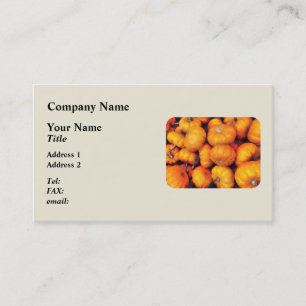 Cartão De Visita Abóboras Bebês