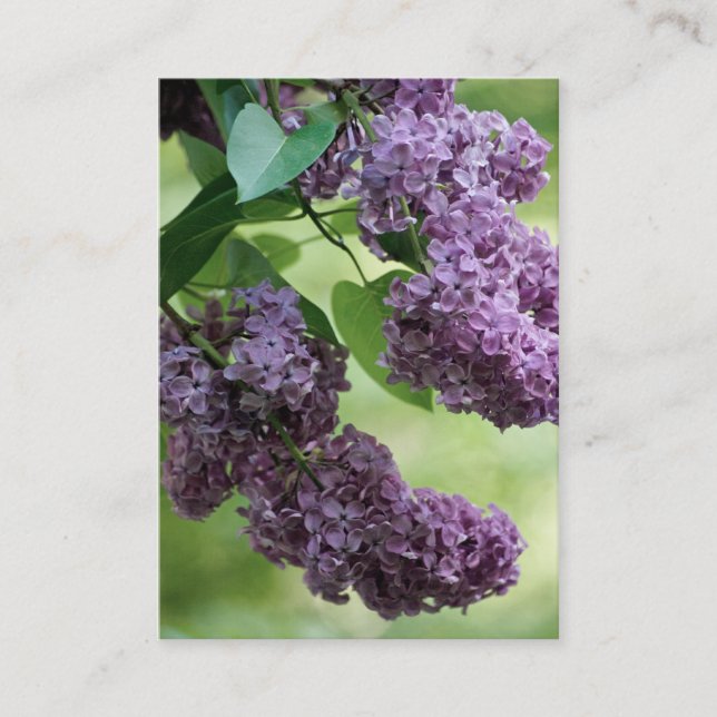 Cartão De Visita Adorável Primavera Mini Impressão (Frente)