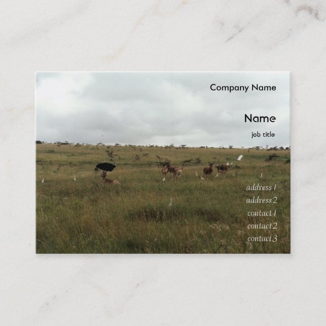 Cartão De Visita África Animais selvagens do Quénia (Frente)