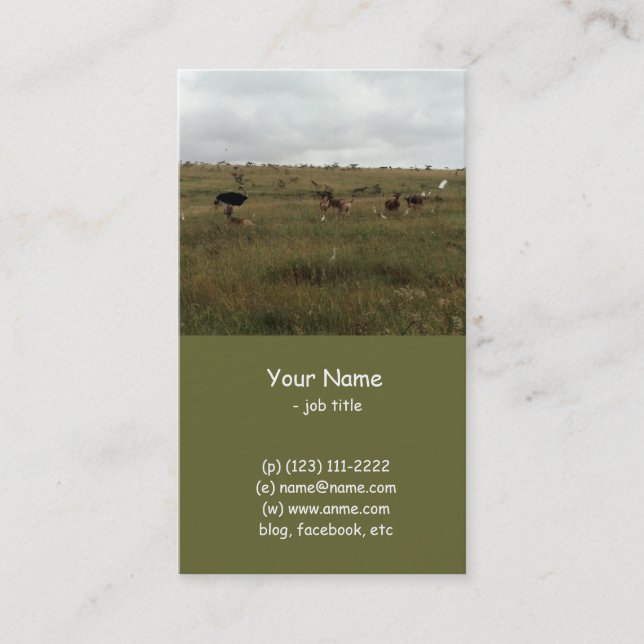 Cartão De Visita África Animais selvagens do Quénia (Frente)