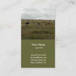 Cartão De Visita África Quênia animais selvagens