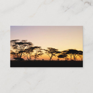 Cartão De Visita África - Sunset
