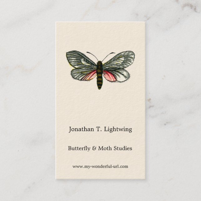 Cartão De Visita Aglaope infausta - Folha de Amêndoa-Tree Skeletoni (Frente)