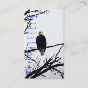 Cartão De Visita Águia Bald Americano