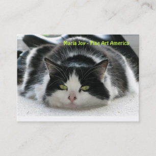 Cartão De Visita Alegria de Maria - belas artes América.