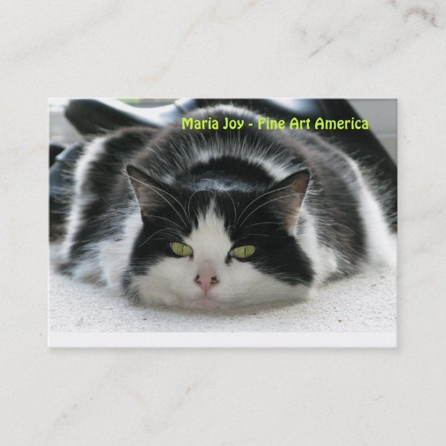 Cartão De Visita Alegria de Maria - belas artes América. (Frente)