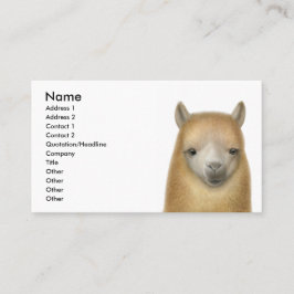 Cartão de visita alerta da alpaca