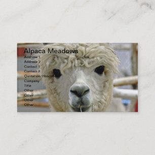 Cartão De Visita Alpaca Meadows Adoráveis