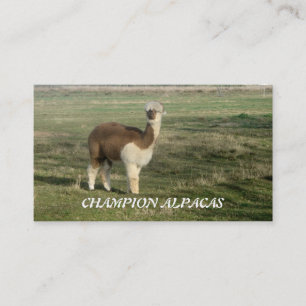 Cartão De Visita Alpacas do campeão