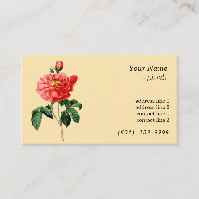 Cartão De Visita Amarelo de rosa vermelha de arte botânica em vinhe (Frente)
