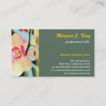 Amarelo, orquídea verde-botânica