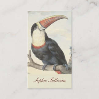 Cartão De Visita American Toucan Vintage Watercolor