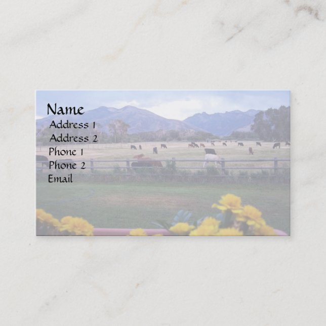 Cartão De Visita Ângus na pastagem (Frente)