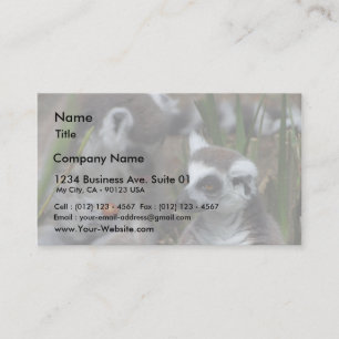Cartão De Visita Animais dos Lemurs