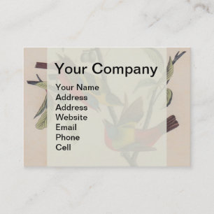 Cartão De Visita Animais Selvagens de Aves Pintadas com Audubon