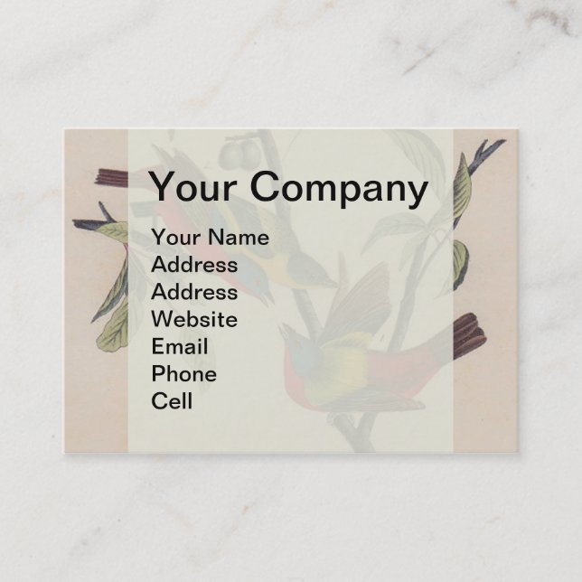 Cartão De Visita Animais Selvagens de Aves Pintadas com Audubon (Frente)