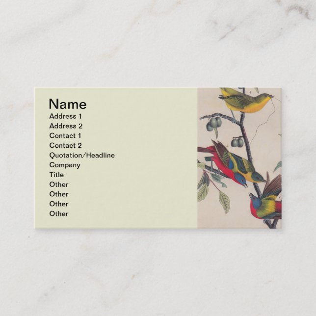 Cartão De Visita Animais Selvagens de Aves Pintadas com Audubon (Frente)