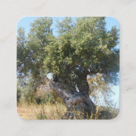 Cartão de visita antigo estilo design de árvore