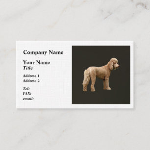 Cartão De Visita Apricot Poodle