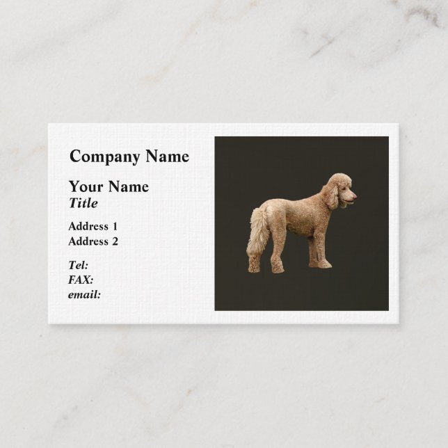 Cartão De Visita Apricot Poodle (Frente)