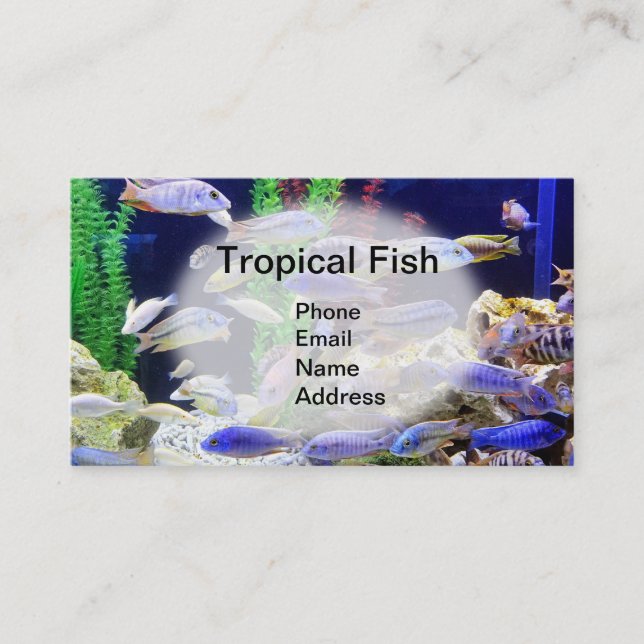 Cartão De Visita Aquário com os peixes tropicais bonitos (Frente)
