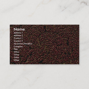 Cartão De Visita Arandos na colheita, Plymouth, Massachusettes,