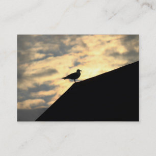 Cartão De Visita Arenque Gull Sunset