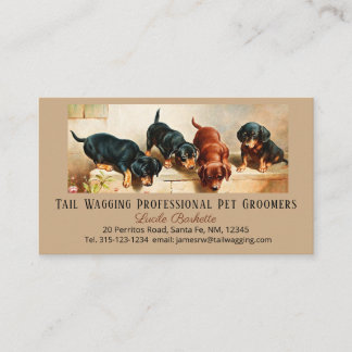Cartão De Visita Arte de Filhotes de Dachshund Curiosos para Tosado