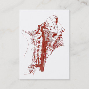 Cartão De Visita Artérias vertebrais humanas da ilustração velha