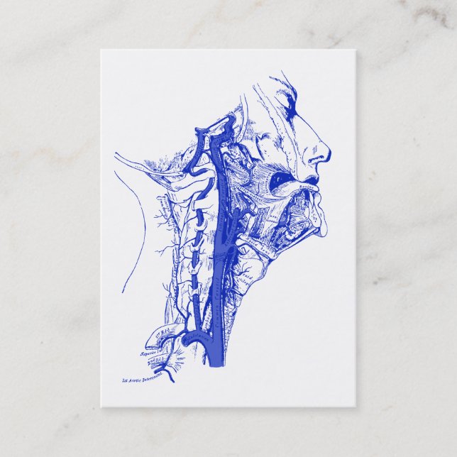 Cartão De Visita Artérias vertebrais humanas da imagem médica (Frente)