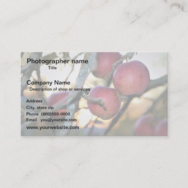 Cartão De Visita Artist/Photographer/Digital Art (Frente)