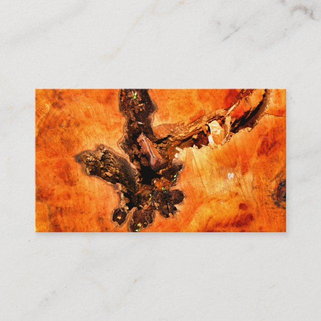 CARTÃO DE VISITA ÁRVORES (Frente)