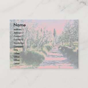 Cartão De Visita ÁRVORES DE AZEITONA EM RIMAGGIO/Paisagem Toscana, 