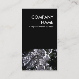 Cartão De Visita árvores não tocadas paisagens