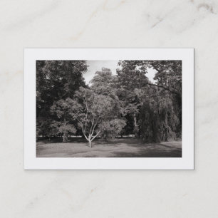 Cartão De Visita Árvores, Parque Bute, Cardiff - BW Quente (Bordado