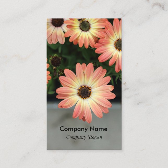 Cartão De Visita Assias africanas Peach Color (Frente)