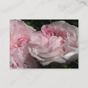 Cartão De Visita ATC de Leda