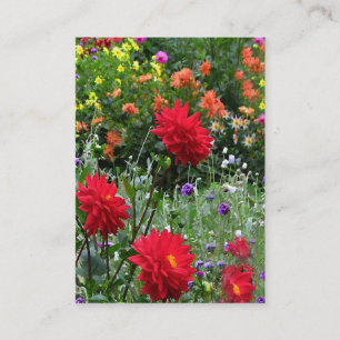 Cartão De Visita ATC do jardim da dália