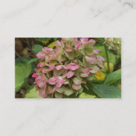 Cartão De Visita Autumn Hydrangea Bloom com Ouro Hosta Leaves