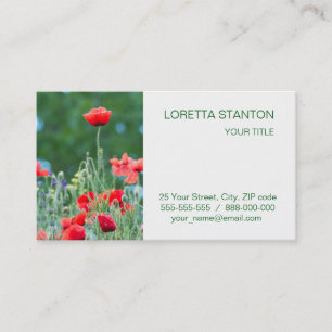 Cartão De Visita Aves selvagens