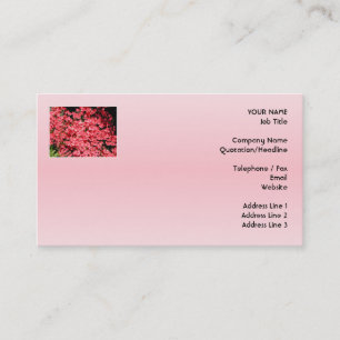 Cartão De Visita Azáleas. Flores cor-de-rosa bonito