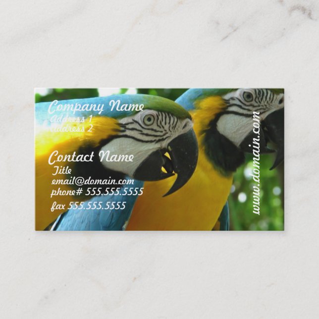 Cartão de visita azul e Dourado dos Macaws (Frente)