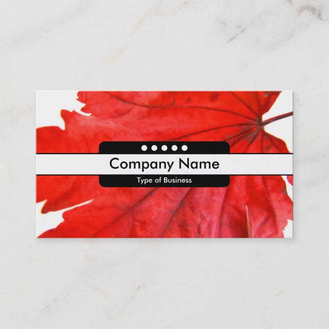 Cartão De Visita Banda central 5 pontos (Frente)