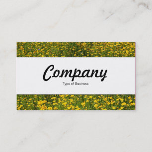 Cartão De Visita Banda central - Cama de margaridas amarelas