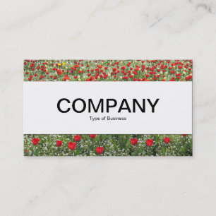 Cartão De Visita Banda central - Cama de tulipas